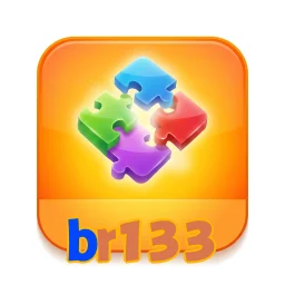 br133